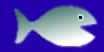 Ein Fisch